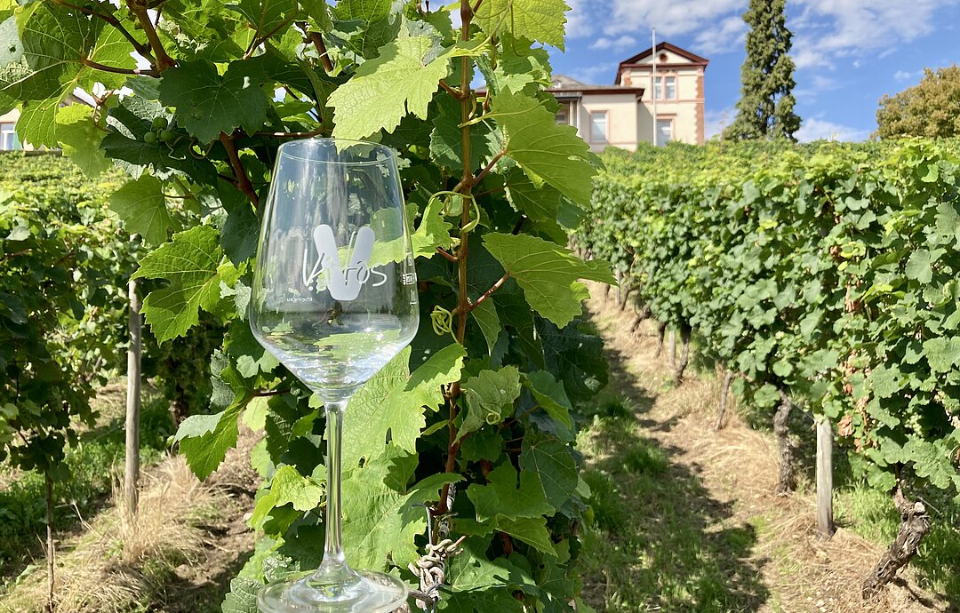 Ein Weinglas steht auf einem Pfosten, dahinter Weinberge und das Direktionsgebäude von Vitos Rheingau