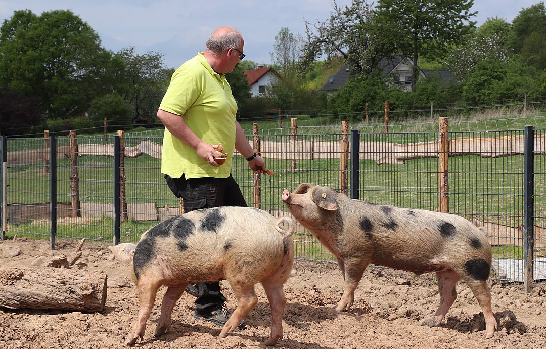 Die Vitos begleitenden psychiatrischen Dienste Haina halten Bentheimer Schweine. Die vom Aussterben bedrohte Nutztierrasse wird in der Tiergestützten Therapie eingesetzt. 