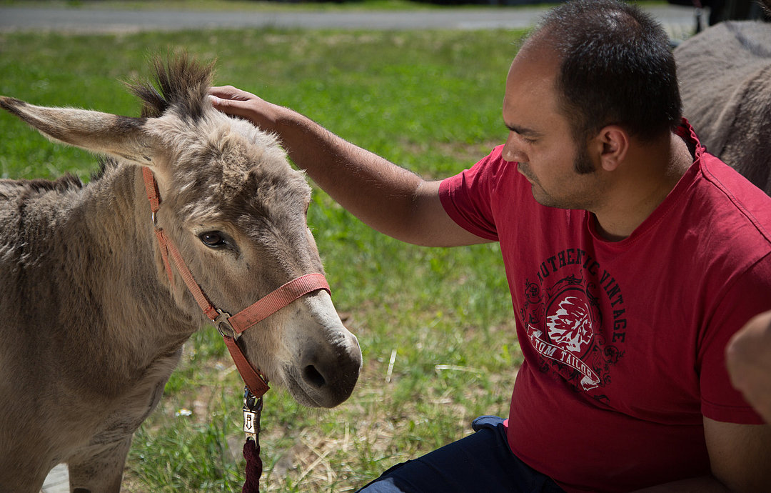 Streicheleinheiten: Klienten der Vitos begleitenden psychiatrischen Dienste Haina kümmern sich um die Versorgung der Tiere.